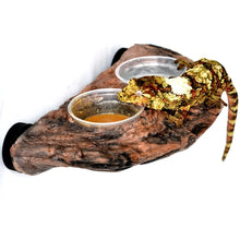 Load image into Gallery viewer, MagNaturals Gecko Ledge