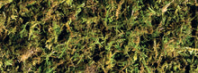 Load image into Gallery viewer, Exo Terra Forest Moss, 2-Pack