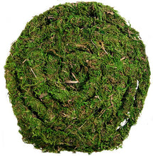 Load image into Gallery viewer, Galapagos Moss Vine