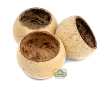 Load image into Gallery viewer, NewCal Bell Cups, 3-Pack