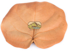 Load image into Gallery viewer, NewCal Sea Grape Leaves, 10 Pack