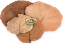 Load image into Gallery viewer, NewCal Sea Grape Leaves, 10 Pack