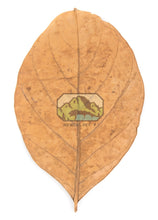 Load image into Gallery viewer, NewCal Jack Fruit Leaves, 10 Pack