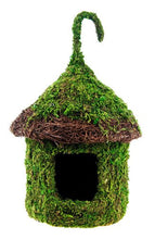 Load image into Gallery viewer, Galapagos Rimmed Bungalow Mossy Hide \ Bird House 6" x 7"