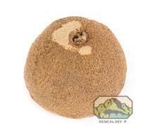 Load image into Gallery viewer, NewCal Monkey Pot