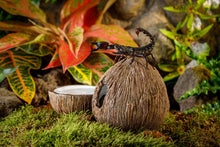 Load image into Gallery viewer, Exo Terra Coconut Hide and Water Dish