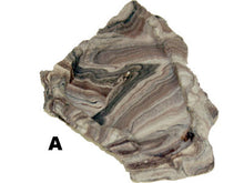 Load image into Gallery viewer, Habi-Scape Rock Reptile Bowl