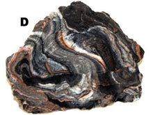 Load image into Gallery viewer, Habi-Scape Rock Reptile Bowl