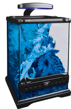 Load image into Gallery viewer, Exo Terra Scorpion Light