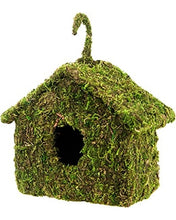 Load image into Gallery viewer, Galapagos Maison Mossy Reptile Hide \ Bird House 7" x 7"