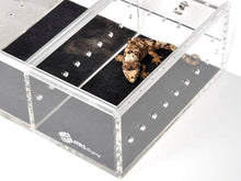 Load image into Gallery viewer, Repti-Zorb ARS Caging Liners, 5 Compartment, 5 PACK