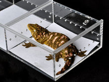 Load image into Gallery viewer, Repti-Zorb ARS Caging Liners, 4 Compartment, 4 PACK