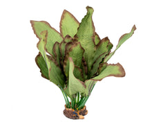 Load image into Gallery viewer, AquaGlobe Ruba Silk Plant