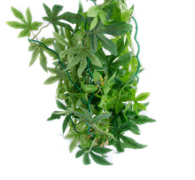 Load image into Gallery viewer, AquaGlobe Maple Aquarium Plant