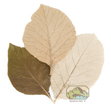 Load image into Gallery viewer, NewCal Teak Leaves, 10 Pack