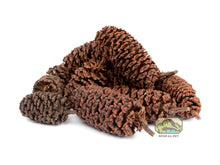 Load image into Gallery viewer, NewCal Alder Cones - 1oz