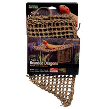 Load image into Gallery viewer, Penn Plax Lizard Lounger