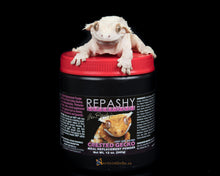 Load image into Gallery viewer, Jar Gecko Enamel Pin - Limited Run!