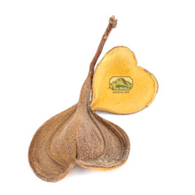 Load image into Gallery viewer, NewCal Elephant's Ear, 1oz.