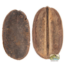 Load image into Gallery viewer, NewCal Coco Para, 2 Pack