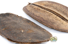 Load image into Gallery viewer, NewCal Coco Para, 2 Pack