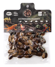 Load image into Gallery viewer, ProBugs Eco-Fresh Bulk Dubia, 150g