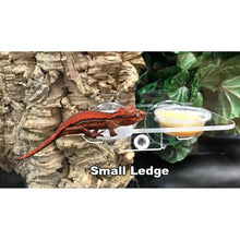 Load image into Gallery viewer, Pangea Acrylic Gecko Ledge (Suction Cup)