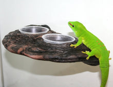 Load image into Gallery viewer, MagNaturals Gecko Ledge