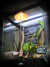 Load image into Gallery viewer, Pangea Digital Temp & Humidity Gauge