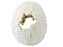 Load image into Gallery viewer, Pangea Human Skull Cave