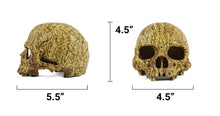 Load image into Gallery viewer, Pangea Human Skull Cave