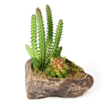 Load image into Gallery viewer, Pangea Succulent Garden