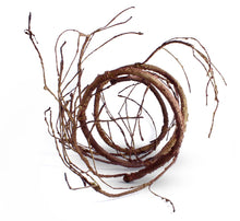 Load image into Gallery viewer, Pangea Ultimate Reptile Vine, 6ft Long