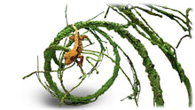 Load image into Gallery viewer, Pangea Ultimate Reptile Vine, 6ft Long