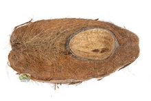 Load image into Gallery viewer, NewCal Coconut Half Dish