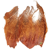 Load image into Gallery viewer, NewCal Palm Bark, 1.5 oz.