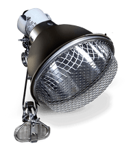 Load image into Gallery viewer, Arcadia Ceramic Clamp Lamp Graphite