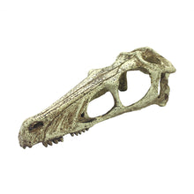 Load image into Gallery viewer, Komodo Raptor Skull