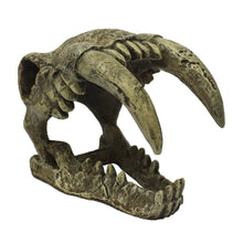 Load image into Gallery viewer, Komodo Saber Tooth Skull