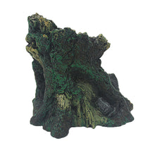 Load image into Gallery viewer, Komodo Nano Forest Daintree