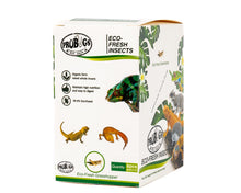 Load image into Gallery viewer, ProBugs Eco-Fresh Grasshopper