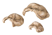 Load image into Gallery viewer, Reptizoo Hide Cave