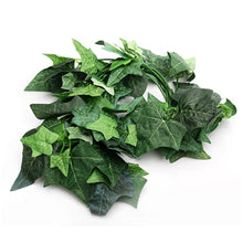 Load image into Gallery viewer, ReptiZoo Boston Ivy Vine 75"