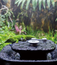 Load image into Gallery viewer, ReptiZoo High Pressure Adjustable Rainfall \ Misting System 10L