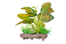 Load image into Gallery viewer, ReptiZoo Scindapsus aureus Plant 4.8"