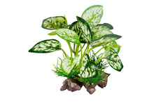 Load image into Gallery viewer, ReptiZoo Scindapsus aureus Plant 4.8"