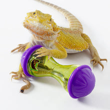 Load image into Gallery viewer, ReptiZoo Reptile Enrichment Treat Ball