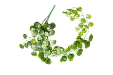 Load image into Gallery viewer, ReptiZoo Begonia Leaves Vine 36"