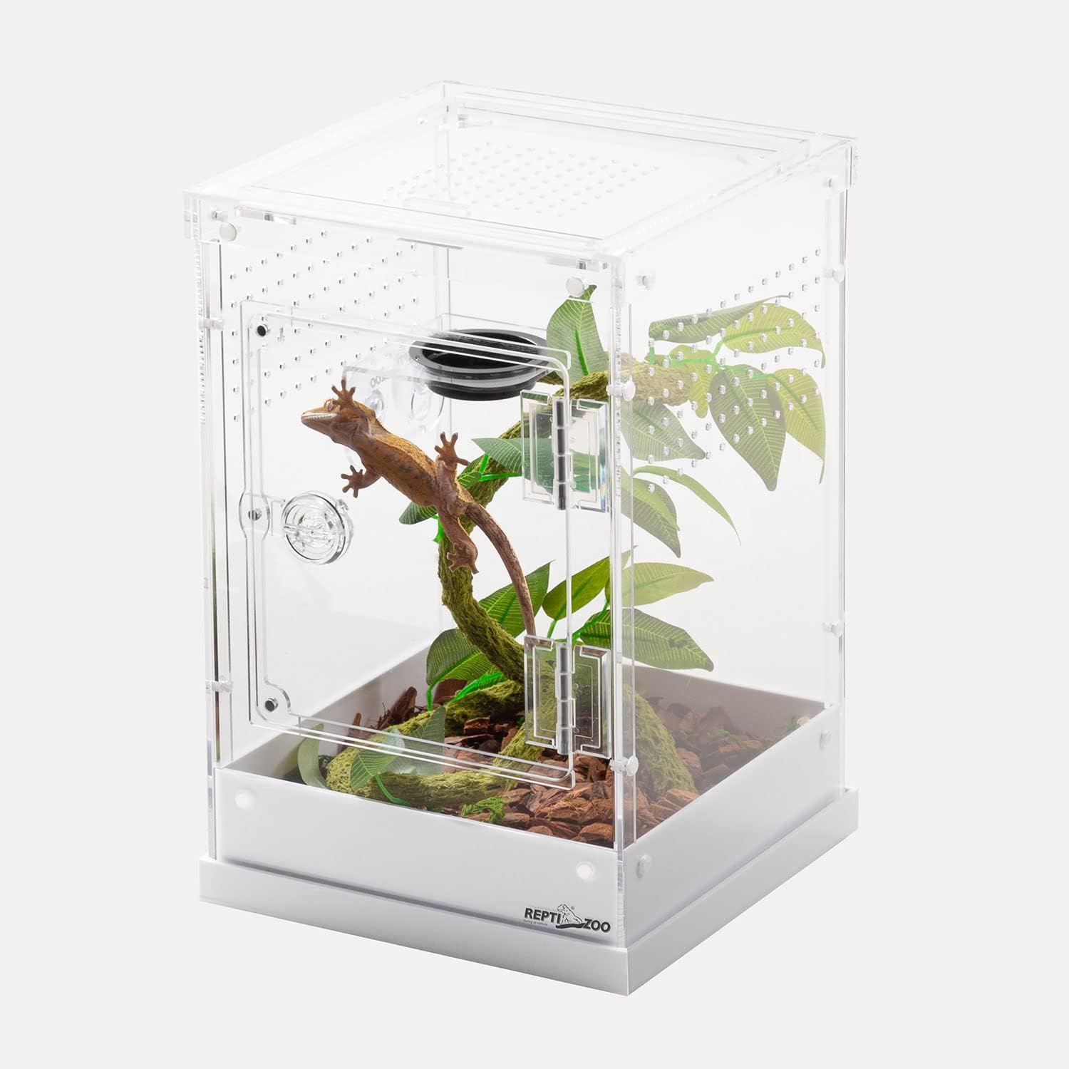 ReptiZoo Acrylic Knock-Down Terrarium – Northern Gecko Inc US