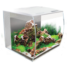 Load image into Gallery viewer, Fluval FLEX Aquarium White, 15 Gal